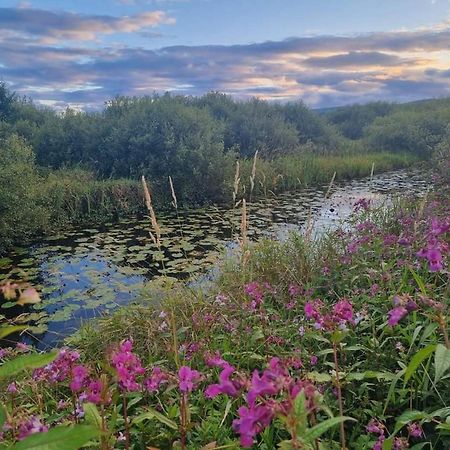 Luxury Family Beechwood Lodge With Hot Tub Lochwinnoch 外观 照片