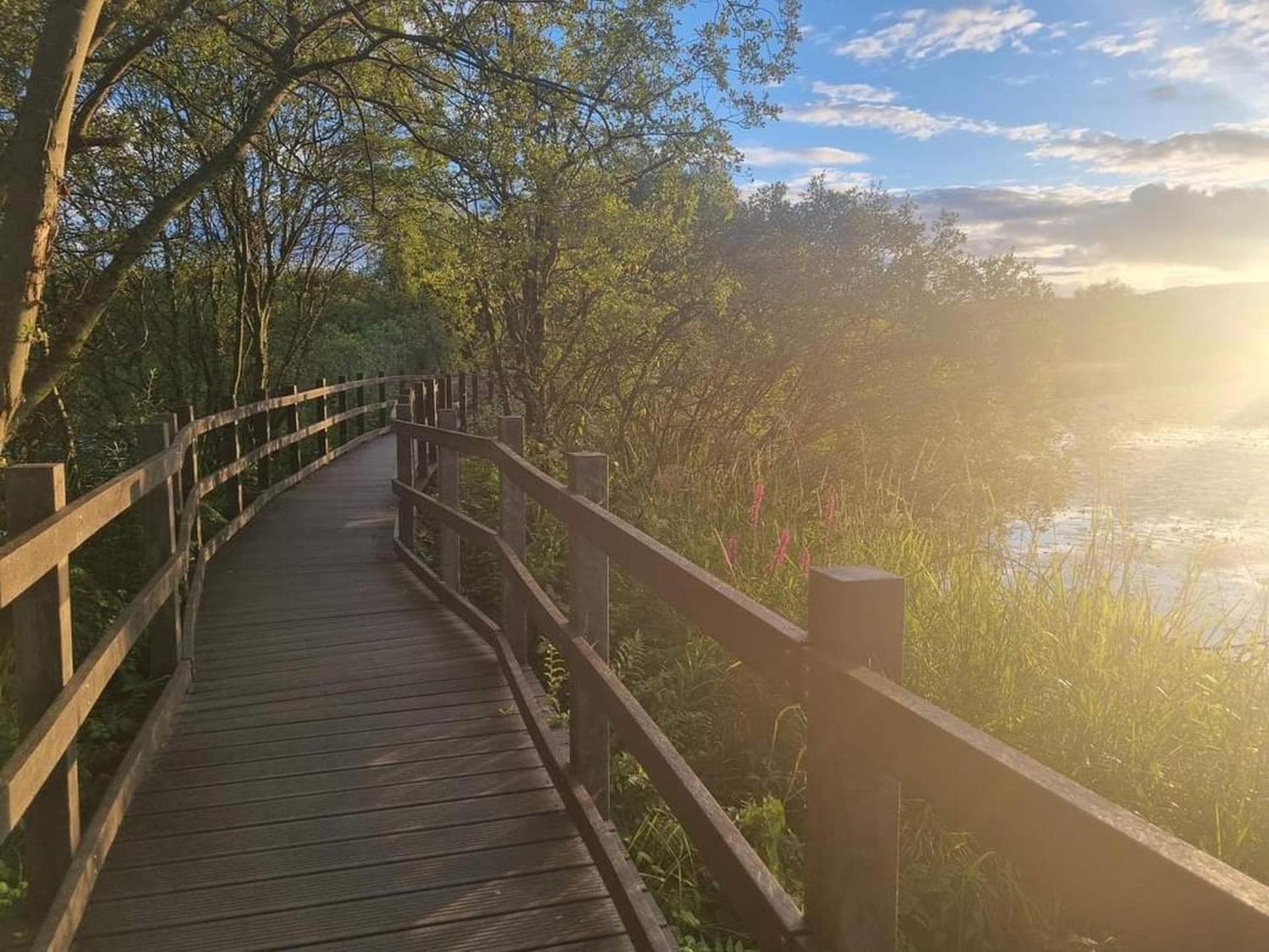 Luxury Family Beechwood Lodge With Hot Tub Lochwinnoch 外观 照片